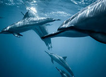 开云体育下载-“苏超”常规赛全在周六 新赛季常州队迎最难开局